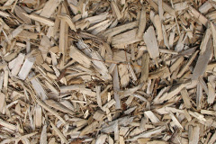biomass boilers Silsoe